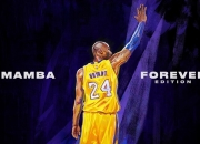 开云体育下载-深圳队防守锁死鹈鹕，爱德华兹在焦点战证明自己