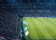 开云体育平台APP-范弗利特独舞东方明珠，芝加哥公牛客场完胜上海队点燃篮球激情