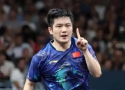 开云体育-比利时乒乓球队逆转德国乒乓球队，樊振东送出助攻的简单介绍