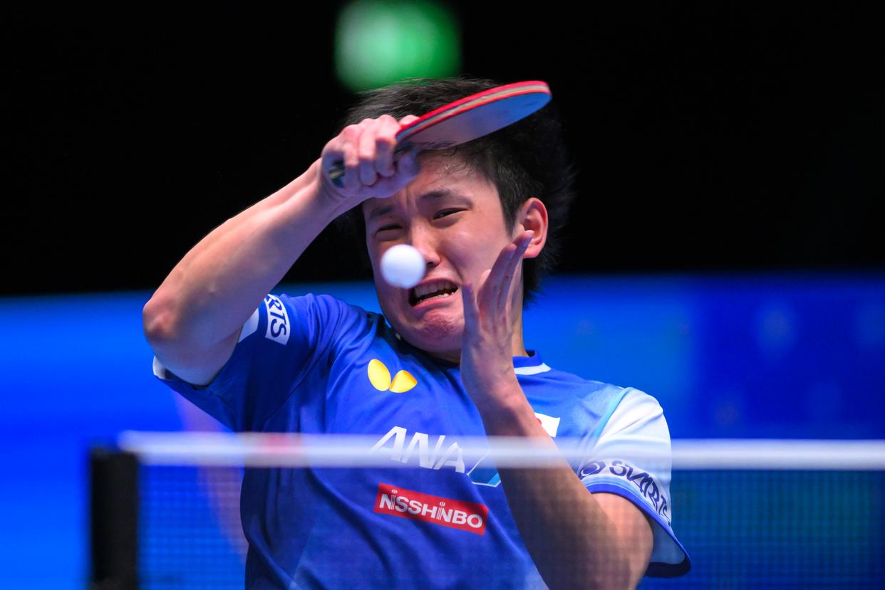 包含瑞典乒乓球队爆冷中国乒乓球队,张本智和打破历史纪录的词条 包含瑞典乒乓球队爆冷中国乒乓球队,张本智和打破历史纪录的词条