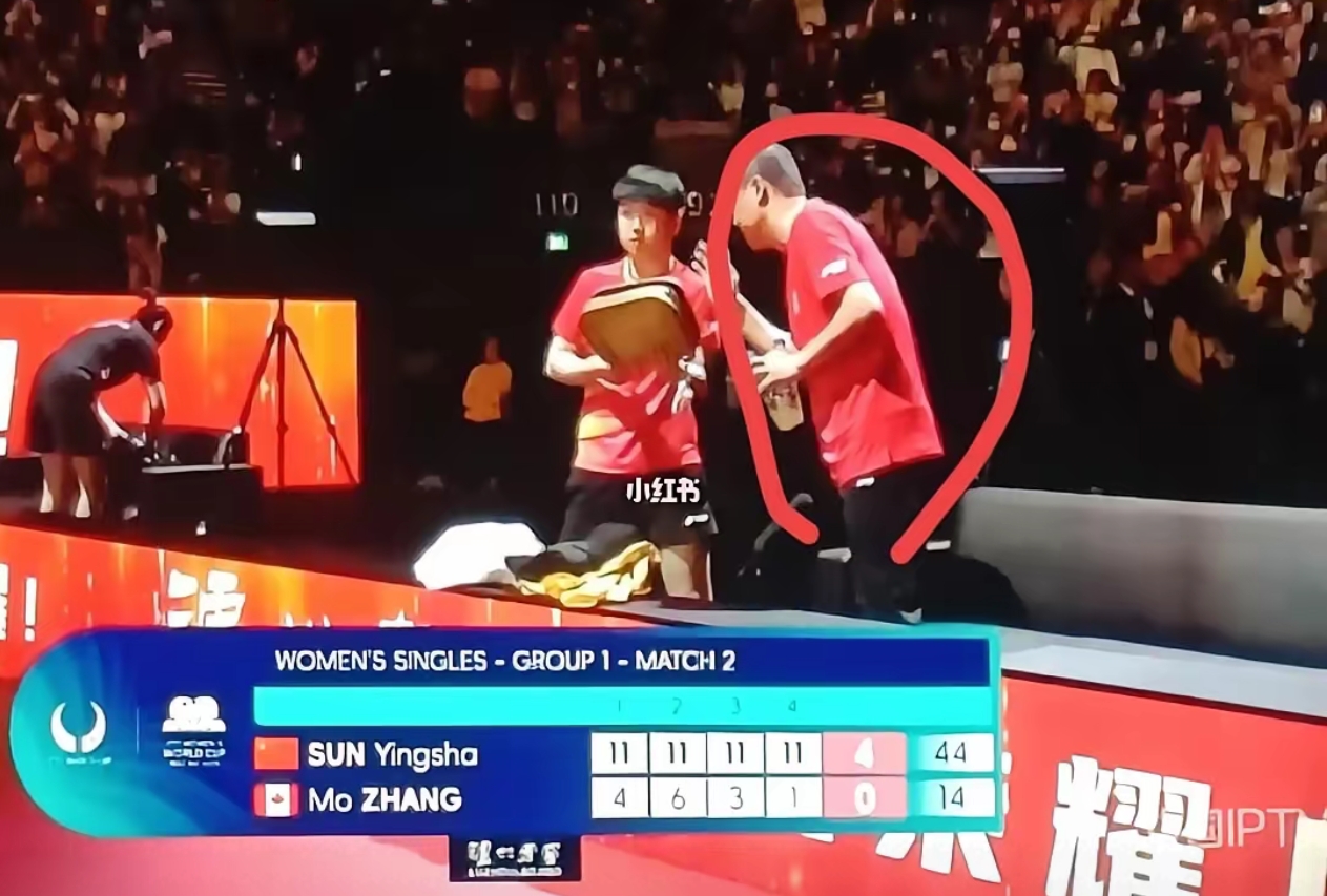 法国羽毛球队险胜英格兰羽毛球队,马琳高光表现的简单介绍 法国羽毛球队险胜英格兰羽毛球队,马琳高光表现的简单介绍