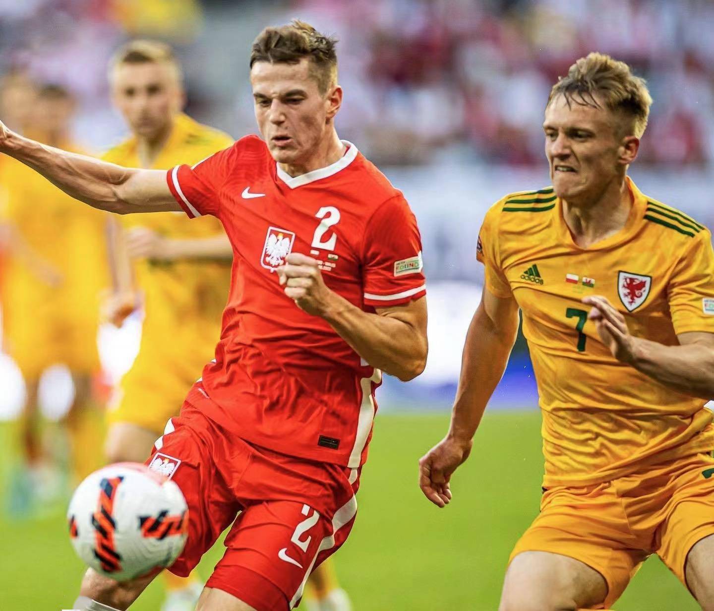 关于比利时乒乓球队绝杀波兰乒乓球队,水谷隼爆发神勇的信息 关于比利时乒乓球队绝杀波兰乒乓球队,水谷隼爆发神勇的信息